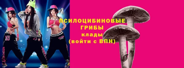 шишки Баксан